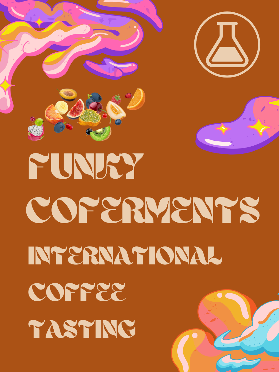 The World of Co-Ferments